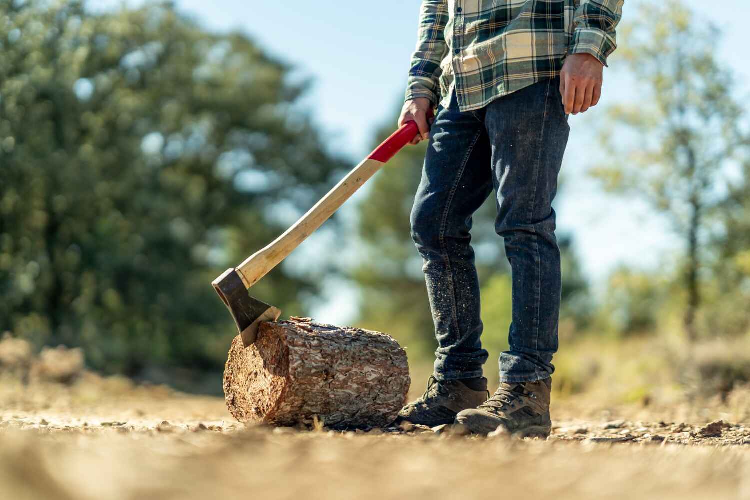 Best Tree Cutting Near Me  in USA